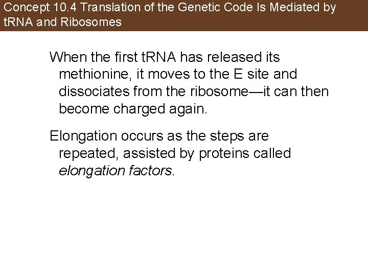 Concept 10. 4 Translation of the Genetic Code Is Mediated by t. RNA and
