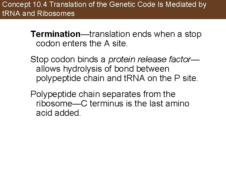 Concept 10. 4 Translation of the Genetic Code Is Mediated by t. RNA and