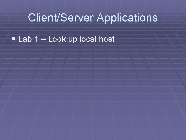Client/Server Applications § Lab 1 – Look up local host Client/Server Applications § Lab 1 – Look up local host