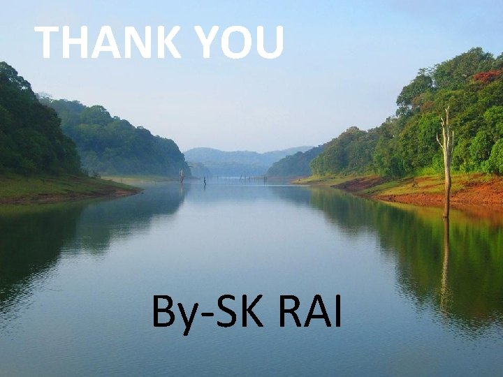 THANK YOU By-SK RAI 
