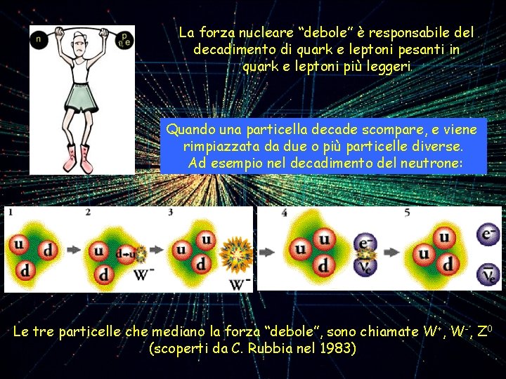 La forza nucleare “debole” è responsabile del decadimento di quark e leptoni pesanti in