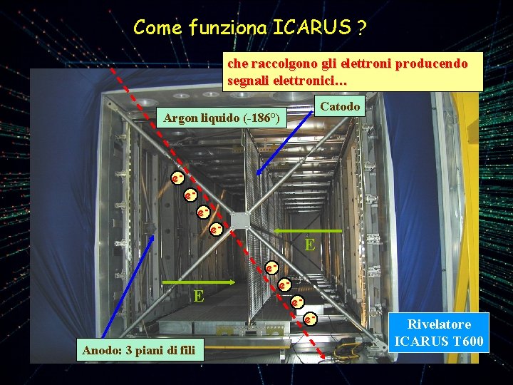 Come funziona ICARUS ? cheche Una … raccolgono particella vengono che trasportati gli elettroni