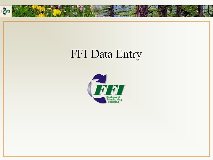 FFI Data Entry 