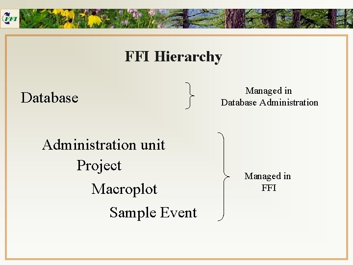 FFI Hierarchy Database Administration unit Project Macroplot Sample Event Managed in Database Administration Managed