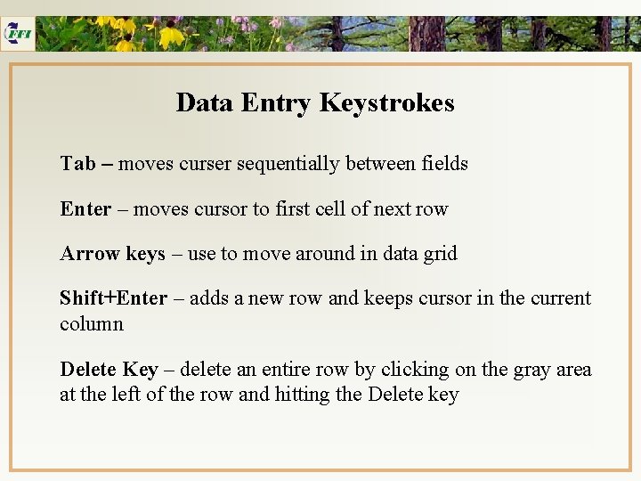 Data Entry Keystrokes Tab – moves curser sequentially between fields Enter – moves cursor