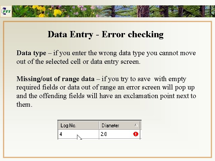 Data Entry - Error checking Data type – if you enter the wrong data