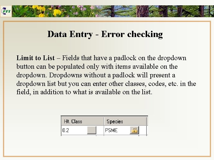Data Entry - Error checking Limit to List – Fields that have a padlock