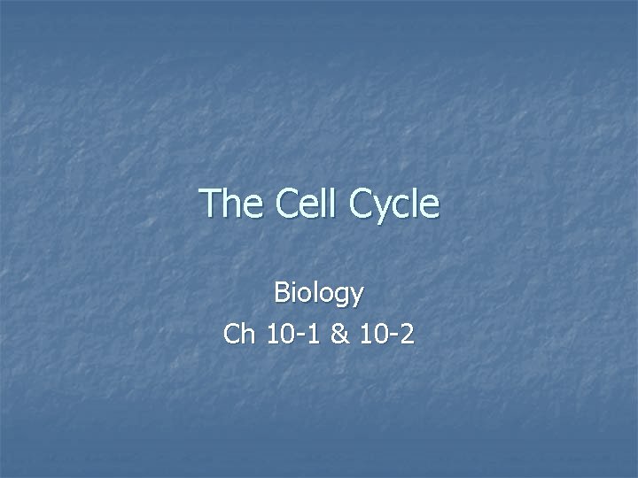 The Cell Cycle Biology Ch 10 -1 & 10 -2 