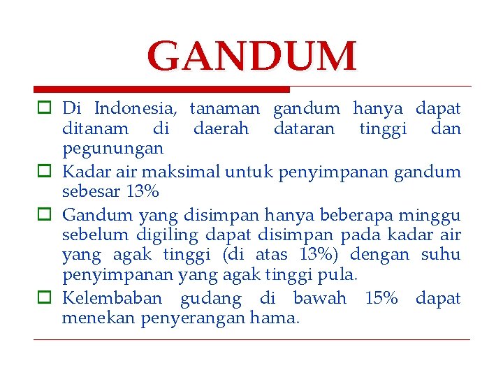 GANDUM o Di Indonesia, tanaman gandum hanya dapat ditanam di daerah dataran tinggi dan