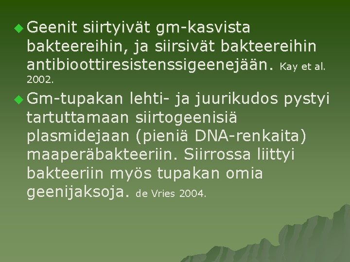 u Geenit siirtyivät gm-kasvista bakteereihin, ja siirsivät bakteereihin antibioottiresistenssigeenejään. Kay et al. 2002. u