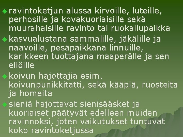 u ravintoketjun alussa kirvoille, luteille, perhosille ja kovakuoriaisille sekä muurahaisille ravinto tai ruokailupaikka u