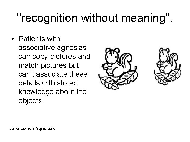 "recognition without meaning". • Patients with associative agnosias can copy pictures and match pictures