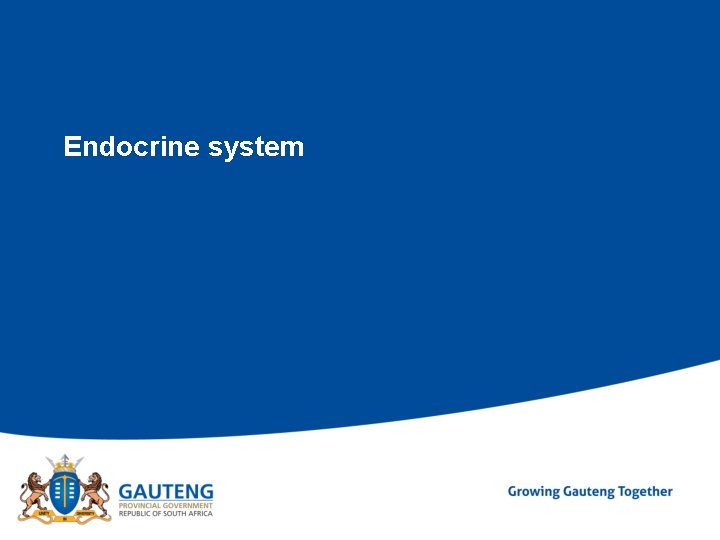 Endocrine system 