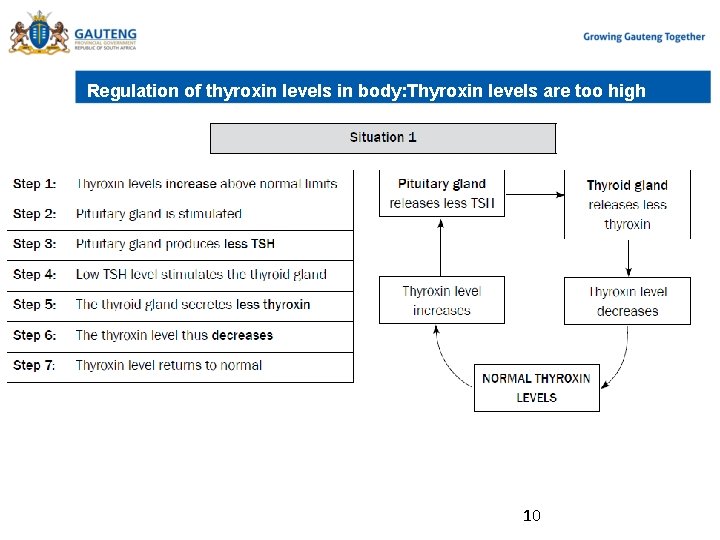 Regulation of thyroxin levels in body: Thyroxin levels are too high 10 