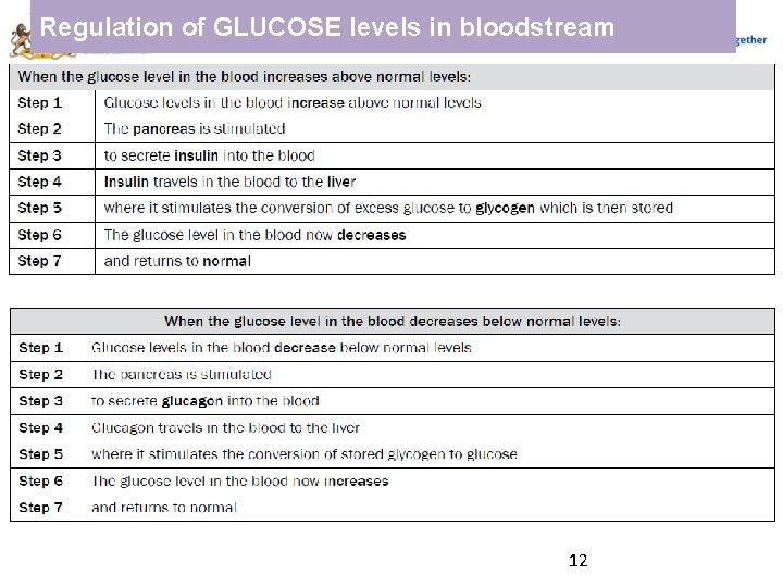 Regulation of GLUCOSE levels in bloodstream 12 