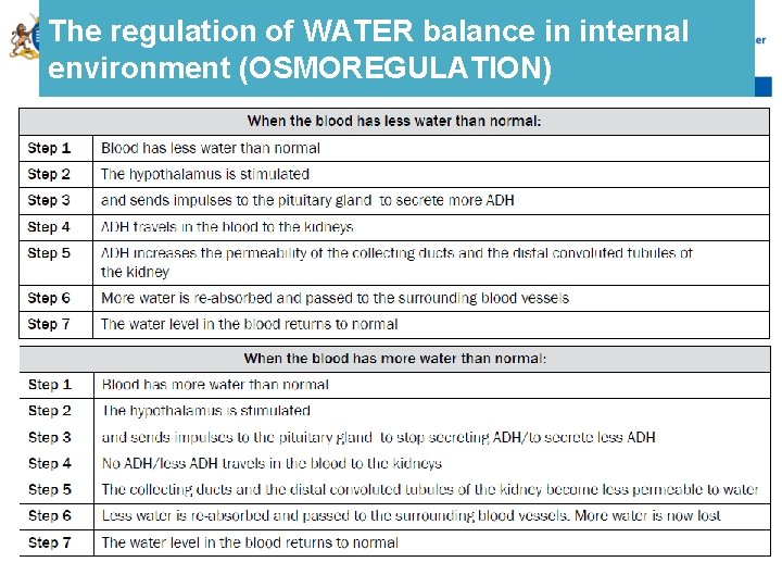 The regulation of WATER balance in internal environment (OSMOREGULATION) 15 