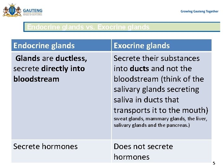 Endocrine glands vs. Exocrine glands Endocrine glands Glands are ductless, secrete directly into bloodstream