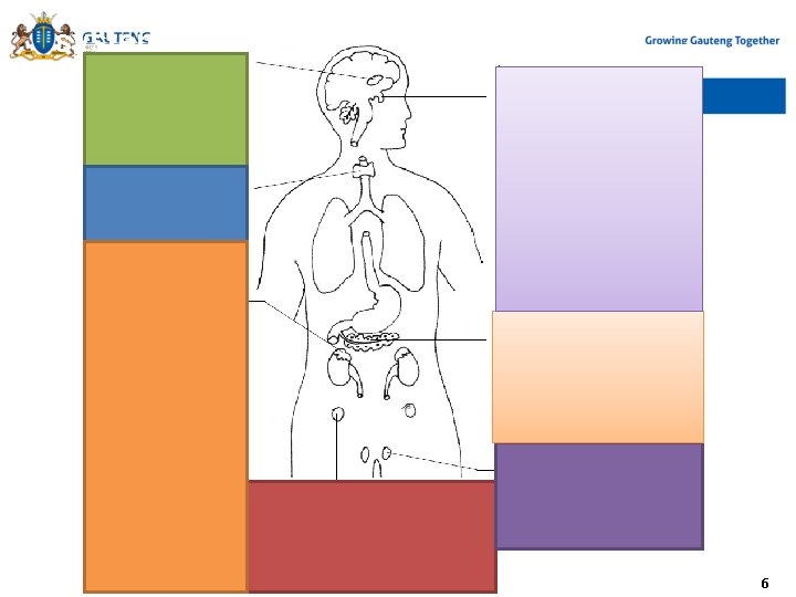 A “ snapshot” of the human endocrine system 6 