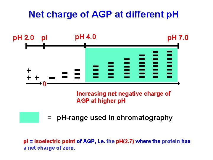 Net charge of AGP at different p. H 2. 0 p. I p. H Net charge of AGP at different p. H 2. 0 p. I p. H