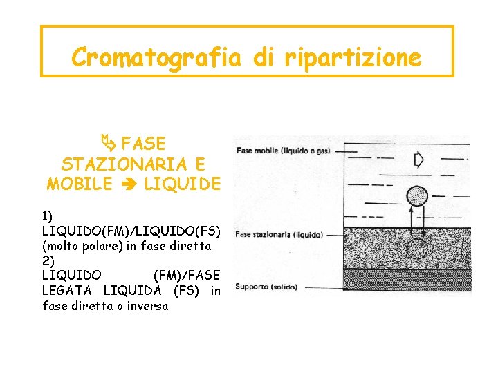 Cromatografia di ripartizione FASE STAZIONARIA E MOBILE LIQUIDE 1) LIQUIDO(FM)/LIQUIDO(FS) (molto polare) in fase