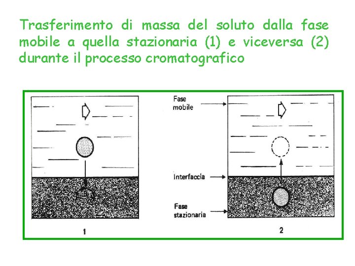 Trasferimento di massa del soluto dalla fase mobile a quella stazionaria (1) e viceversa