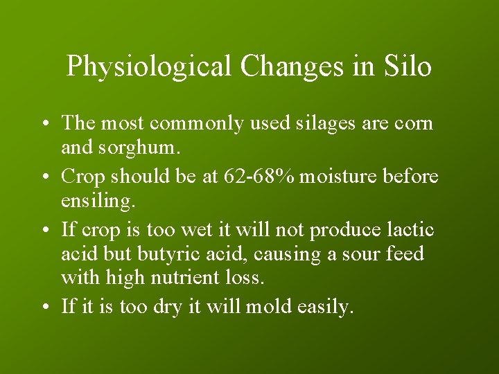 Physiological Changes in Silo • The most commonly used silages are corn and sorghum.