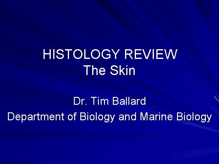 HISTOLOGY REVIEW The Skin Dr. Tim Ballard Department of Biology and Marine Biology 