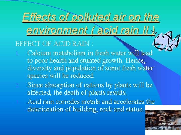 Effects of polluted air on the environment ( acid rain II ) EFFECT OF