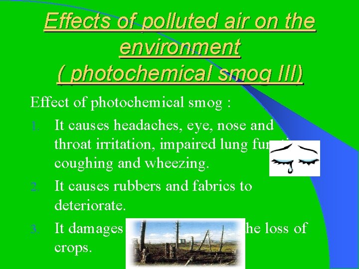 Effects of polluted air on the environment ( photochemical smog III) Effect of photochemical