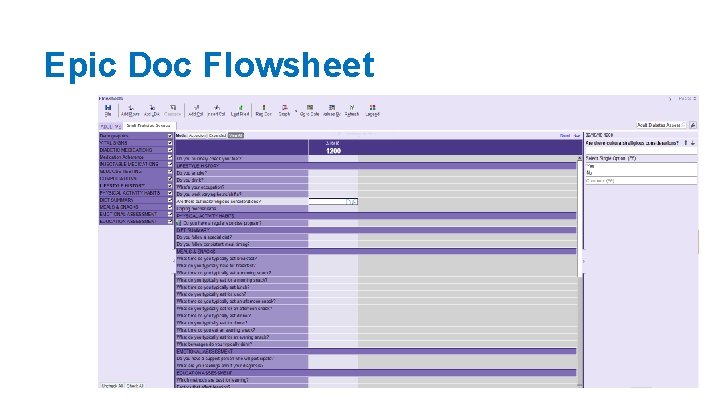 Epic Doc Flowsheet 