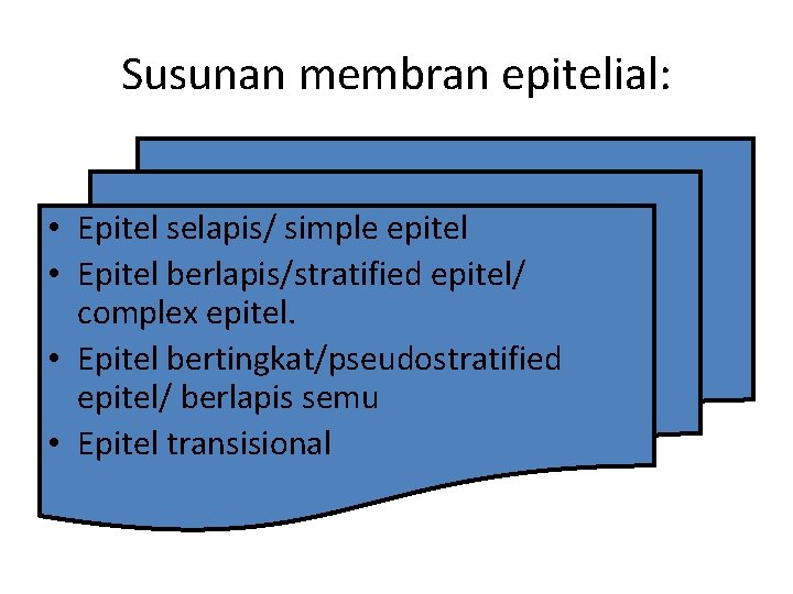 Susunan membran epitelial: • Epitel selapis/ simple epitel • Epitel berlapis/stratified epitel/ complex epitel.