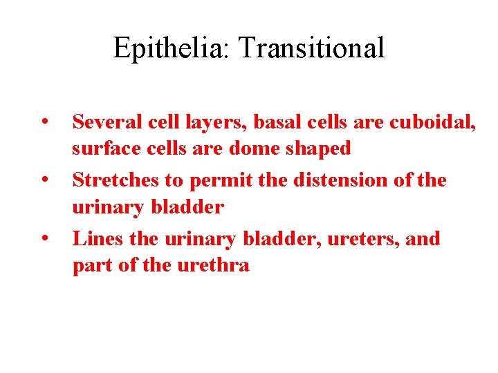 Epithelia: Transitional • • • Several cell layers, basal cells are cuboidal, surface cells