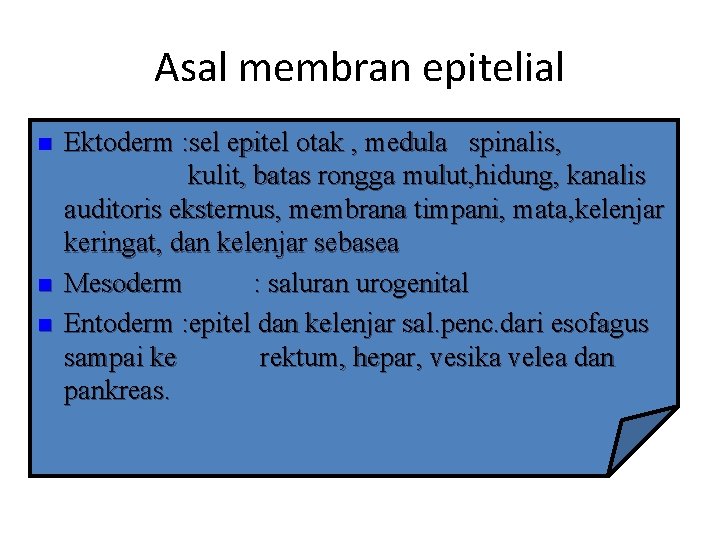 Asal membran epitelial • n Ektoderm otak, medula spinalis, Ektoderm : sel epitel otak