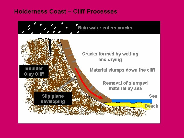 Holderness Coast – Cliff Processes Rain water enters cracks Cracks formed by wetting and