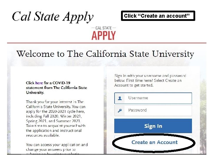 Cal State Apply Click “Create an account” 