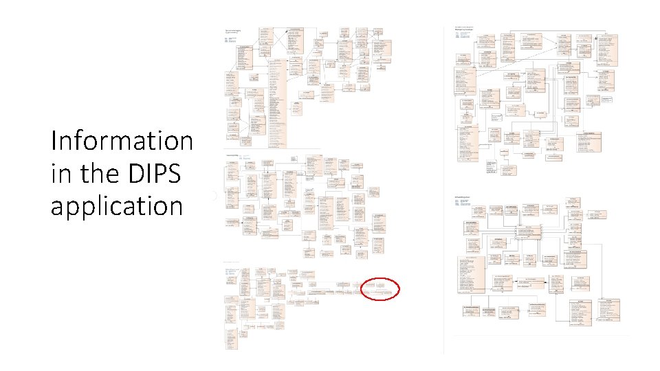 Information in the DIPS application 