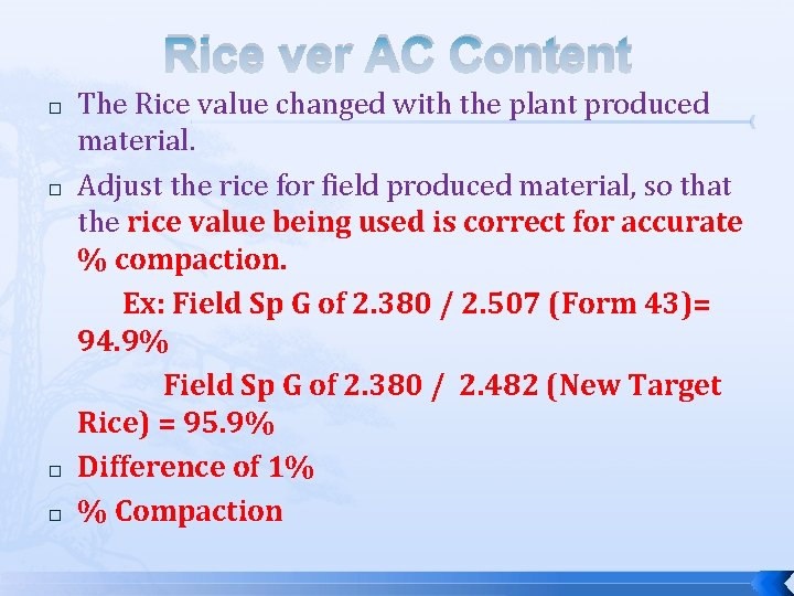 Rice ver AC Content � � The Rice value changed with the plant produced
