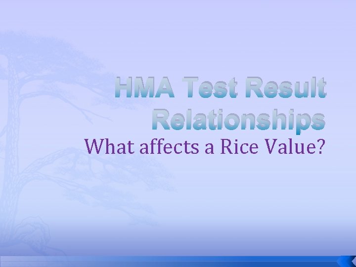 HMA Test Result Relationships What affects a Rice Value? 