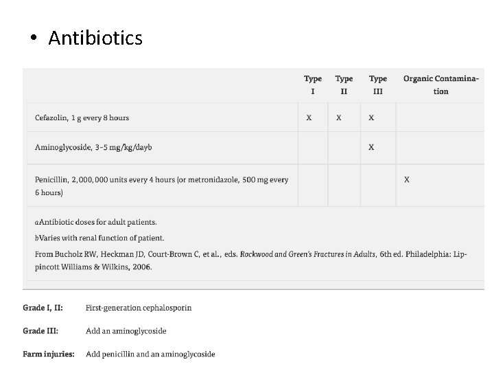  • Antibiotics 