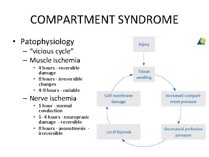 COMPARTMENT SYNDROME • Patophysiology – “vicious cycle” – Muscle ischemia • 4 hours -