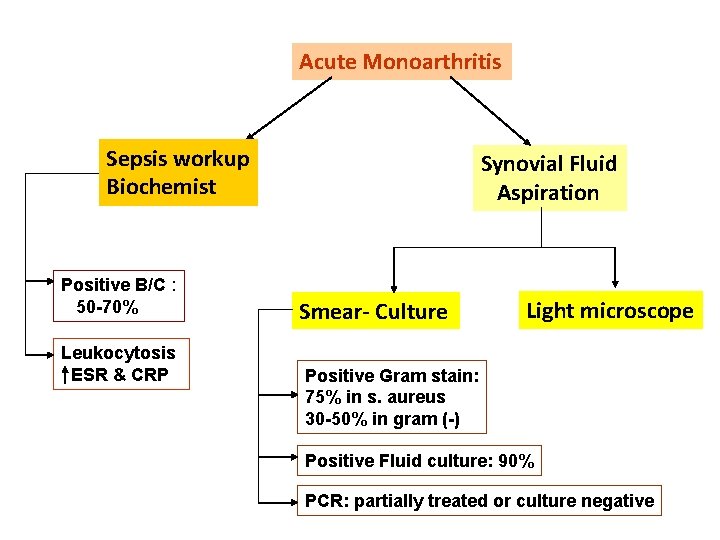 Acute Monoarthritis Sepsis workup Biochemist Positive B/C : 50 -70% Leukocytosis ESR & CRP