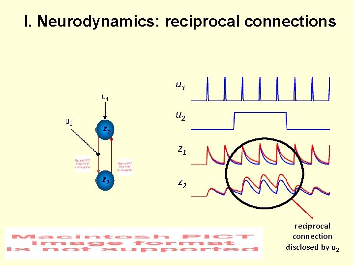 I. Neurodynamics: reciprocal connections u 1 u 2 z 1 z 2 reciprocal connection