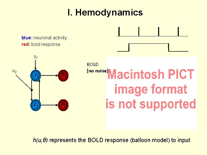 I. Hemodynamics blue: neuronal activity red: bold response u 1 u 2 z 1