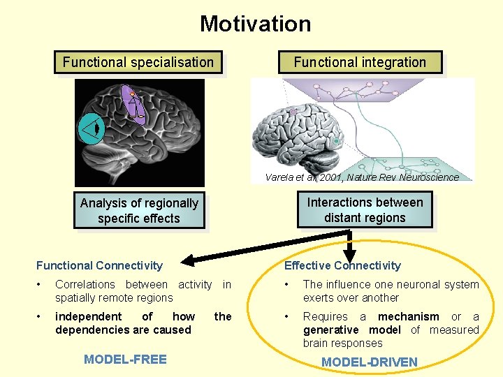 Motivation Functional specialisation Functional integration Varela et al. 2001, Nature Rev Neuroscience Interactions between