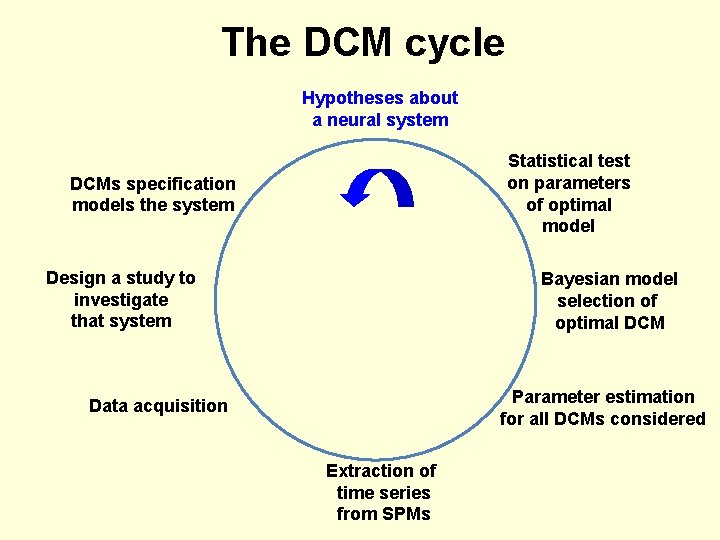 The DCM cycle Hypotheses about a neural system Statistical test on parameters of optimal