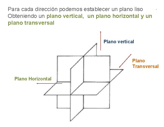 Para cada dirección podemos establecer un plano liso Obteniendo un plano vertical, un plano