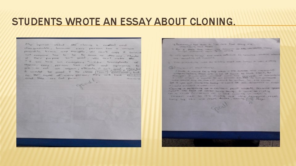 STUDENTS WROTE AN ESSAY ABOUT CLONING. 
