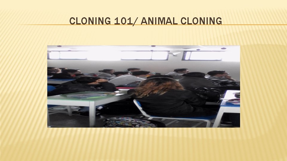 CLONING 101/ ANIMAL CLONING 