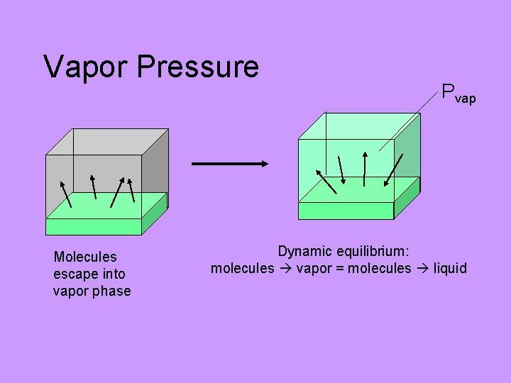 Vapor Pressure Molecules escape into vapor phase Pvap Dynamic equilibrium: molecules vapor = molecules