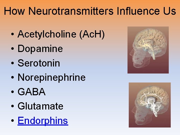 How Neurotransmitters Influence Us • • Acetylcholine (Ac. H) Dopamine Serotonin Norepinephrine GABA Glutamate How Neurotransmitters Influence Us • • Acetylcholine (Ac. H) Dopamine Serotonin Norepinephrine GABA Glutamate